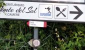 Trail On foot Brisighella - Il Sentiero dell'Olio - Photo 4