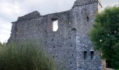 Tocht Te voet The Municipal District of Greystones - Delgany Heritage Trail - Photo 1