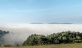 Tour Zu Fuß Bad Staffelstein - Banzrundweg - Photo 4