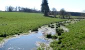 Excursión Senderismo Neufchâteau - Tronquoy - Sberchamps - Photo 8