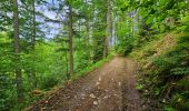 Tocht Stappen Vresse-sur-Semois - Promenade de la Roche à Campa - Orchimont - Photo 10