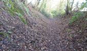 Tocht Te voet Forest of Dean - Poets' Path No 1 - Photo 3