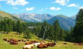 Trail On foot Valdeblore - Le Caïre Gros - Photo 5