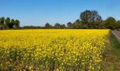 Trail On foot Montferland - Bekermark - Photo 1