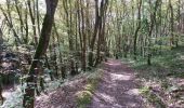 Trail Walking Saint-Martin-le-Beau - Saint-Martin-le-Beau - PR Entre Vignes et Forêts - 11.8km 120m 2h45 (45mn) - 2023 10 07 - Photo 1