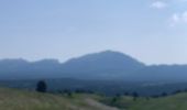 Excursión Bici eléctrica Saint-Agnan-en-Vercors - Traversée u Vercors  - Photo 14