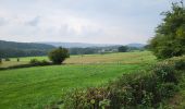 Trail Walking Andenne - Andenne 290823 - Photo 7
