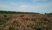 Randonnée Vélo Ede - Otterlo Hoge Veluwe (PVDB) - Photo 7