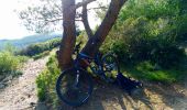Trail Mountain bike Aubagne - Jeudaï-Garlaban-29nov2018 - Photo 3