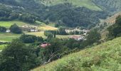 Tour Wandern Aldudes - Aldines - Photo 4