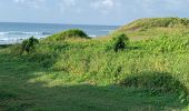 Trail Running Sainte-Anne - Bois Jolan le littoral  - Photo 9