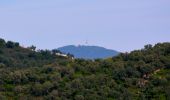 Trail Walking La Londe-les-Maures - SityTrail - Notre Dame des Maures-12-02-21 - Photo 13