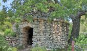 Tour Wandern Buoux - Buoux - Sivergues - Aigue brun - Photo 8