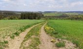 Excursión Senderismo Gouvy - Au fil de l'eau - Gouvy   - Photo 8