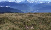 Tocht Stappen Beatenberg - Niederhorn - Photo 8