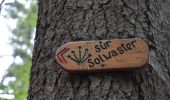 Trail Walking Jalhay - 20220905 - Solwaster 8.1 Km - Photo 13