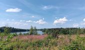 Tocht Stappen Bütgenbach - butgenbach sous 34° - Photo 20