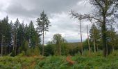 Trail Walking Esneux - mon E d'Esneux - Photo 11