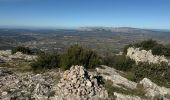 Trail Walking Pourrières - Pourcieux :Mont Olympe et Pas du Titet - Photo 12