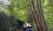 Trail Walking Chastre - #230728 - Gentinnes Kongolo - Photo 10