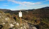 Tour Wandern Saint-Vallier-de-Thiey - Face Sud de la montagne de Thiey - Photo 10