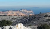 Randonnée Marche Marseille - Mont Puget par le vallon de Marthe - Photo 1