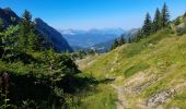 Excursión Senderismo Samoëns - SAMOENS: BOSTAN - GOLESE - Photo 10