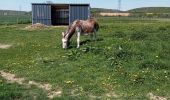 Tour Wandern Pîtres - Pitres 10 km' - Photo 3