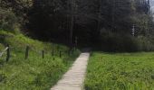 Trail Walking Bütgenbach - A la découverte du Lac de Butgenbach - Photo 10