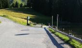 Trail Walking Morzine - boucle lac des mines d'or, chardonnerai, freterol - Photo 10