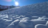 Tocht Ski randonnée Isola - ski rando col Merciere - Photo 2
