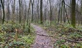 Trail Walking Maldegem - Kleit 22,5 km - Photo 1