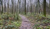 Tour Wandern Maldegem - Kleit 22,5 km - Photo 1