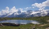 Tocht Stappen La Grave - Plateau d'Emparis - Lac Noir - Lac Lérié - Photo 8