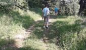Tocht Stappen Autrans-Méaudre en Vercors - 02 07 19 - Photo 5