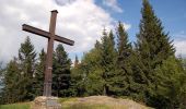 Tocht Te voet Pöllauberg - Waldlehrpfad Masenberg - Photo 4