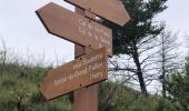 Tour Wandern Thiéry - Le Brec d'Ilonse depuis Thiery - Photo 2