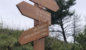 Tocht Stappen Thiéry - Le Brec d'Ilonse depuis Thiery - Photo 2