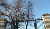 Tour Wandern Quevillon - 20211218-Quevillon  - Photo 7