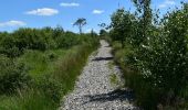 Tour Wandern Spa - 20200625 - Berinzenne 7.5 Km - Photo 17