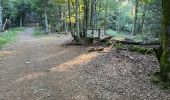 Trail Walking Plancher-les-Mines - 130722 - La planche des belles - au pieds du Ballons d’Alsaces - Photo 17