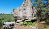 Tocht Stappen Fontainebleau - Fontainebleau sentier Denecourt 7 ouest prolongé  - Photo 20