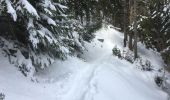 Tocht Sneeuwschoenen Orsières - Champex Lac - Belvédère - Champex Lac - Photo 7