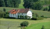 Randonnée A pied Wangen im Allgäu - Wanderweg 7 Wangen im Allgäu - Photo 1