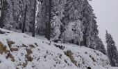 Trail Snowshoes Autrans-Méaudre en Vercors - Balade Gros Martel - Photo 7