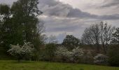 Tour Wandern Maastricht - autour de la carrière Montagne St Pierre  - Photo 4