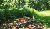 Trail Walking Assesse - Sart Bernard 010725 - Photo 10
