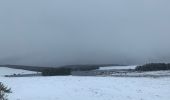 Tocht Stappen Besse-et-Saint-Anastaise - Les 3 lacs et la cascade  - Photo 10