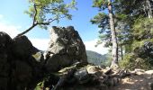 Randonnée Marche Le Valtin - sentiers des roches  depuis la schlucht - Photo 2