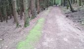 Trail Walking Sentheim - Bucherg - Photo 13